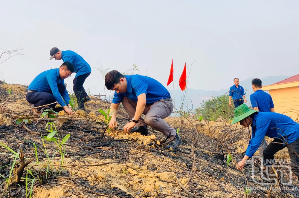 Thai Nguyen Youth Union: Many environmental protection activities
