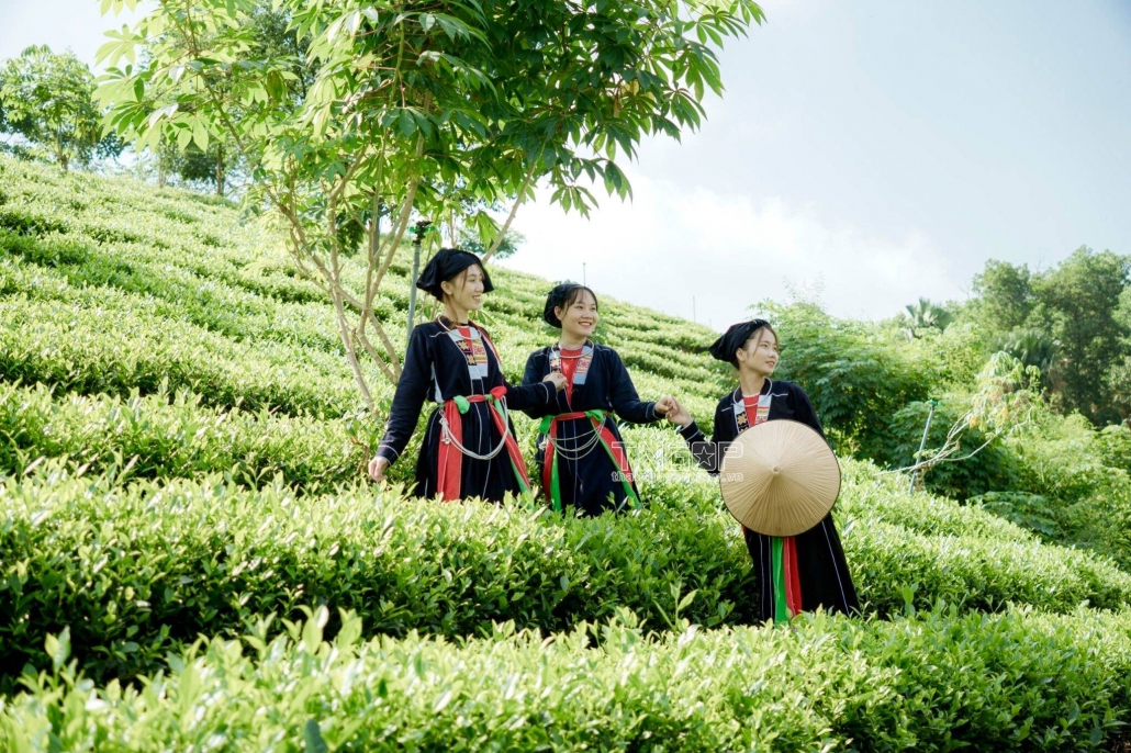 The third festival honoring tea craft villages in Phu Luong district