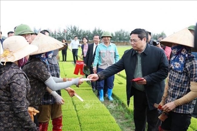Thủ tướng thăm, động viên nông dân sản xuất vụ Đông Xuân tại Hải Dương