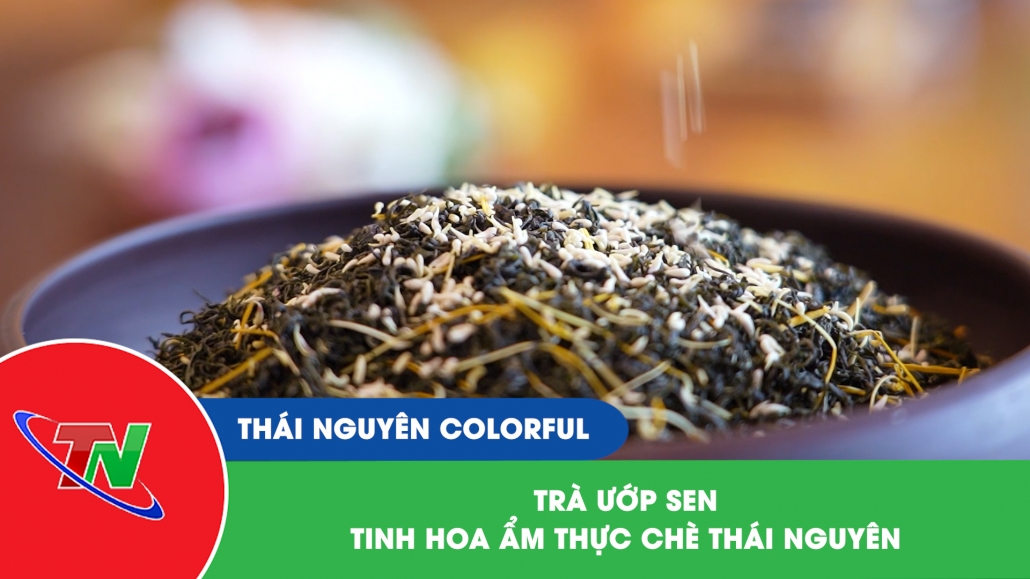Trà ướp sen - Tinh hoa ẩm thực chè Thái Nguyên