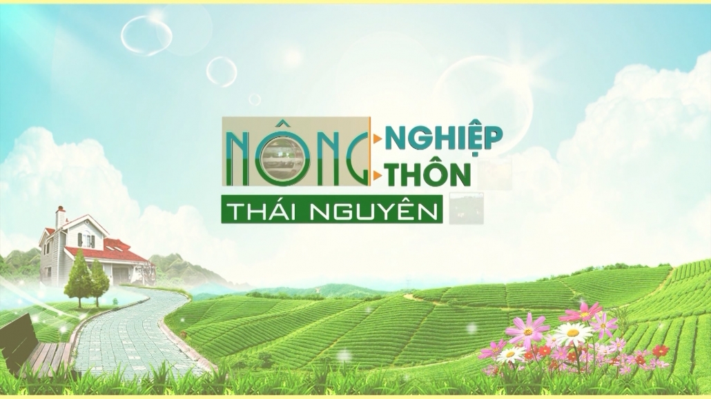 Chuyên mục nông nghiệp nông thôn Thái Nguyên ngày 7/6/2023