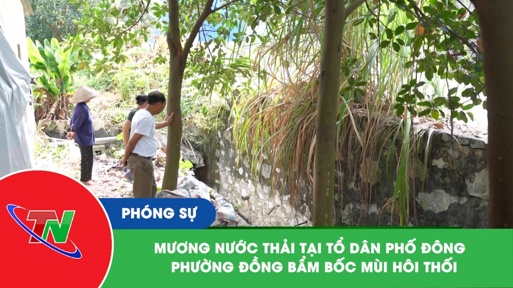 Mương nước thải tại tổ dân phố Đông – Phường Đồng Bẩm bốc mùi hôi thối