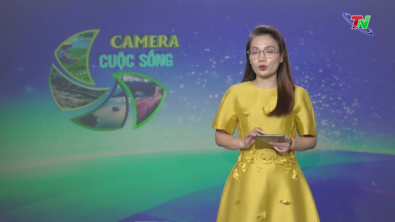 Bản tin Camera cuộc sống ngày 01/12/2023