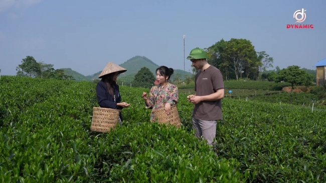 Enjoy Tom non tea - Vietnamese Agricultural Gold Brand 2023