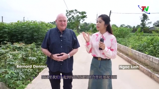 Thai Nguyen Corner 26/8/2023