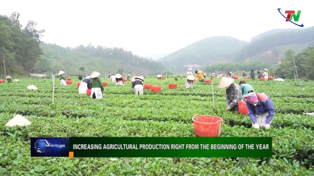 Increasing Agricultural production right from the beginning of the year