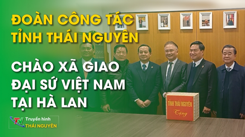 Đoàn công tác tỉnh Thái Nguyên chào xã giao Đại sứ Việt Nam tại Hà Lan